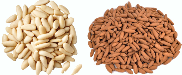 8 HEALTH BENEFITS OF PINE NUTS CHILGOZA THE NUTTY WINTER TREAT