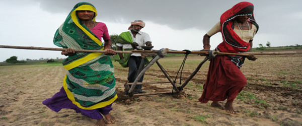 HIDDEN HEROES OF AGRICULTURE