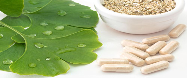 Health Benefits of Ginkgo Biloba