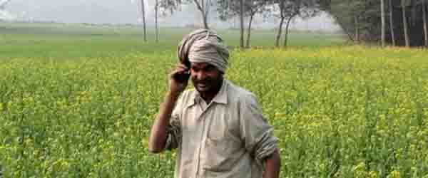 Transfer of Agriculture Technology and Krishi Vighyan Kendra in An India
