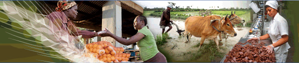 Value addition in Agriculture