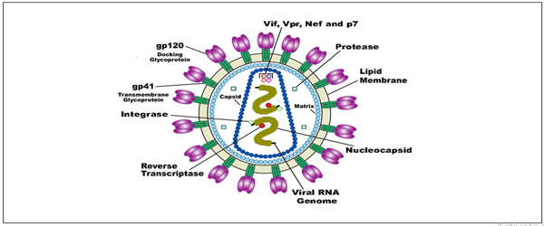 INFLUENZA DISEASE