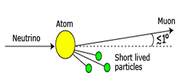 Neutrinos