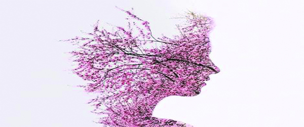 Plants and flowers that boost your mood