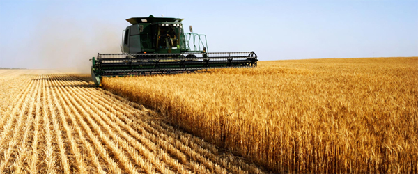 Principles of Agricultural Extension