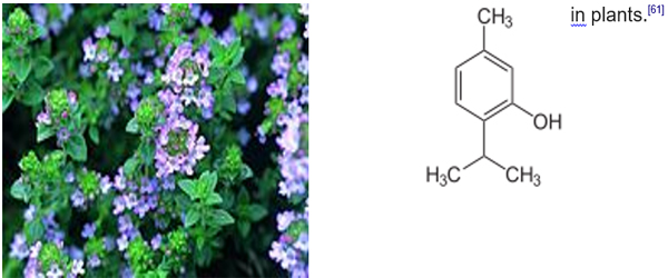 Natural Product Medicinal Value of Terpenes