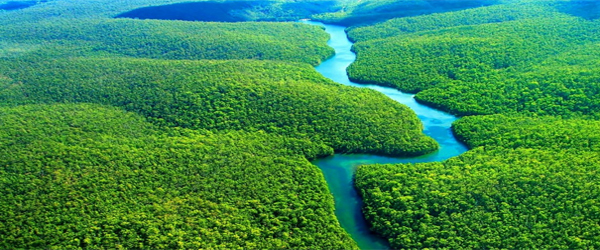 Facts about the Amazon Rainforest