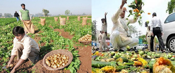 Green Revolution For Sustainable Development