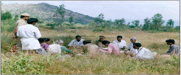 Importance of Non-Wood Forest Products in Joint Forest Management