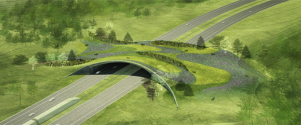 Wildlife Corridors