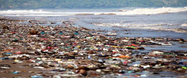 ARTICLE ON POLLUTION