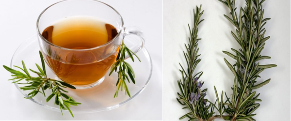 Rosemery Tea|UCBMSH.ORG