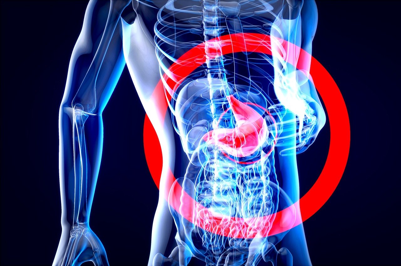 anatomy, x-ray, human body-7111055.jpg