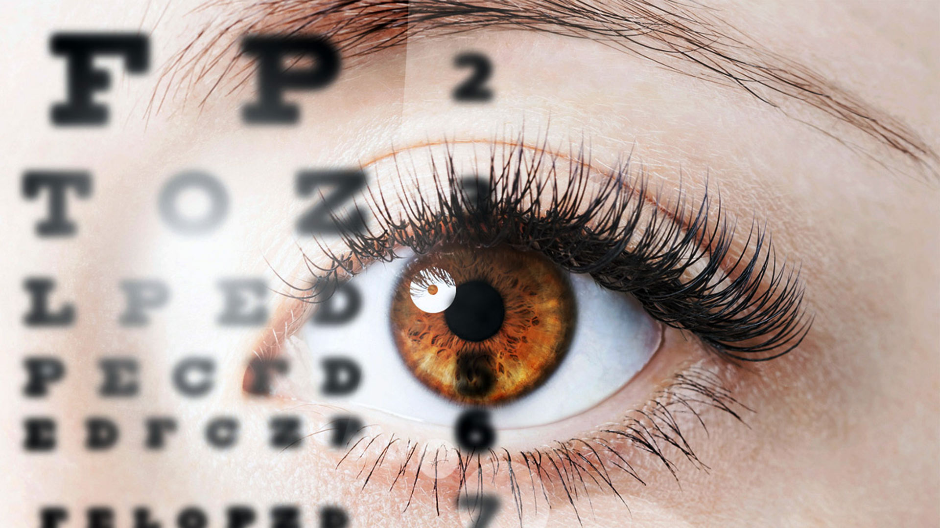 optometry